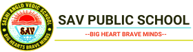 SAV Public School